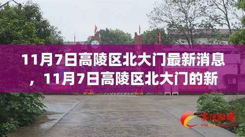 11月7日高陵区北大门新篇章，变化中的学习之旅，自信与成就感的魔法之门开启