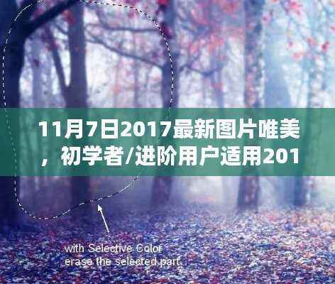 初学者与进阶用户适用的2017年最新图片唯美制作指南(11月7日版)
