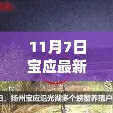 宝应11月7日趣事录，友情的温暖交响