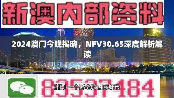 2024澳门今晚揭晓，NFV30.65深度解析解读