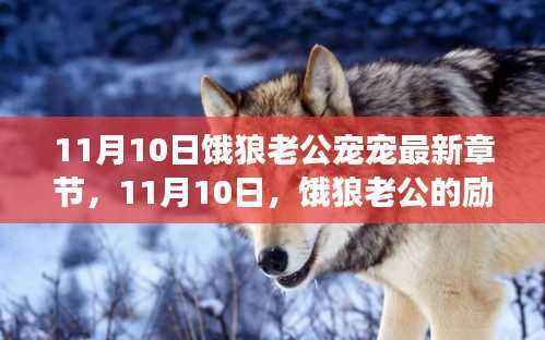 11月10日,饿狼老公的励志成长与宠溺之旅,塑造自信与成就感的最新篇章