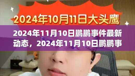 鹏鹏事件最新动态,揭秘真相与进展