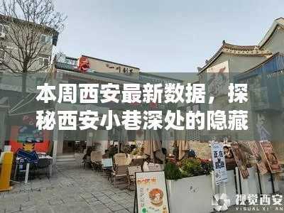 文质彬彬 第36页