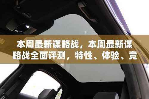 本周最新谋略战全面解析,特性、体验、竞品对比与用户深度分析