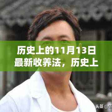 历史上的新收养法,心灵之旅与探寻自然美景的奇妙探险之旅