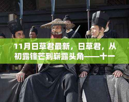 日草君的成长之路,从初露锋芒到崭露头角——十一月回顾与展望