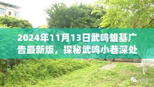 探秘武鸣小巷独特风味，雄基广告引领的神秘小店之旅（最新版）