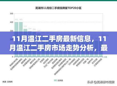 11月温江二手房市场深度解析，最新信息、走势分析与观点碰撞