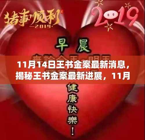 王书金案最新进展揭秘,11月14日全方位解读与应对步骤指南(初学者与进阶用户必读)