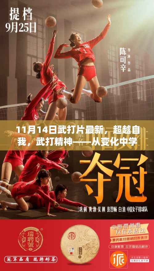 超越自我,武打精神,从变化中学习,自信与成就感的诞生——最新武打片赏析