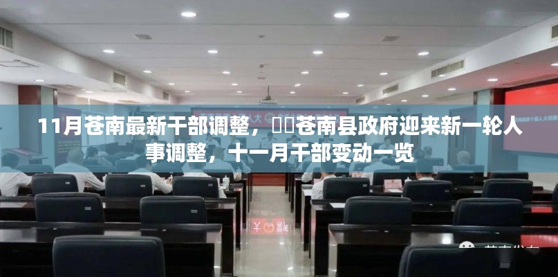 苍南县政府人事大调整,十一月干部变动一览表