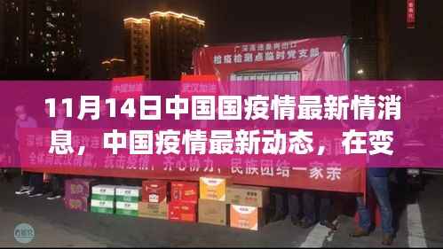 中国疫情最新动态更新,变革时代下的曙光(11月14日版)