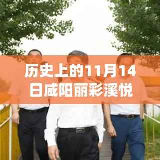 历史上的11月14日咸阳丽彩溪悦城事件回顾与揭秘