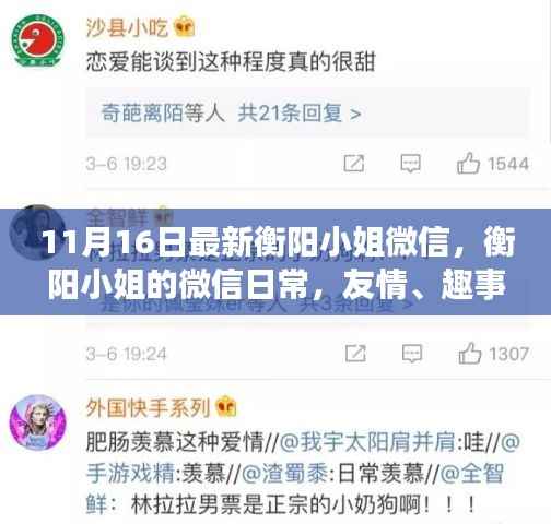 衡阳小姐微信日常,友情、趣事与温暖的十一月时光