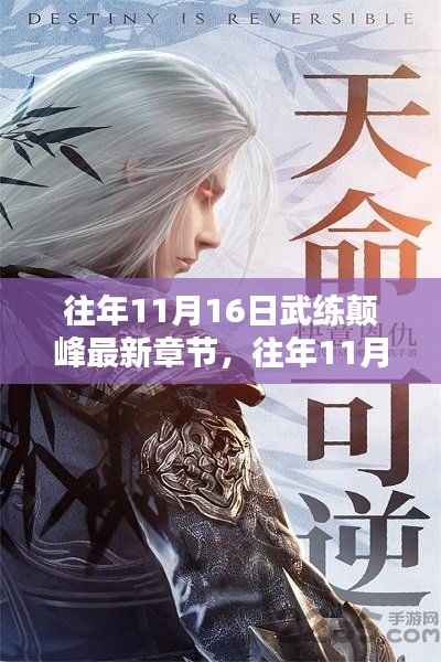往年11月16日武练颠峰最新章节，深度解析与观点阐述