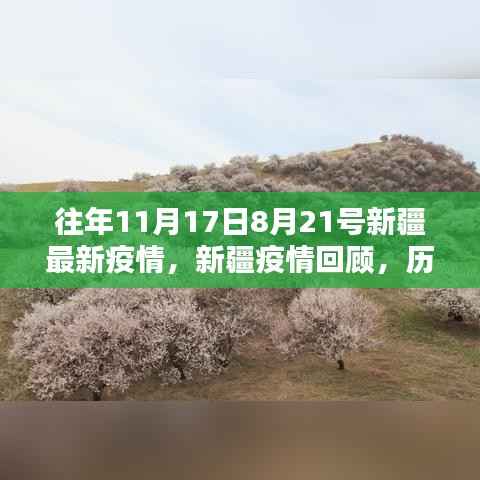 新疆历年疫情回顾与最新分析,历年关键时期疫情回顾及最新疫情动态(最新报告)