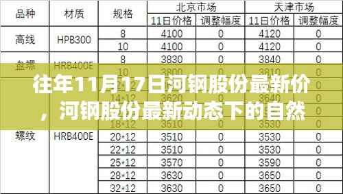 河钢股份最新动态下的自然之旅,探寻内心宁静与力量的历程