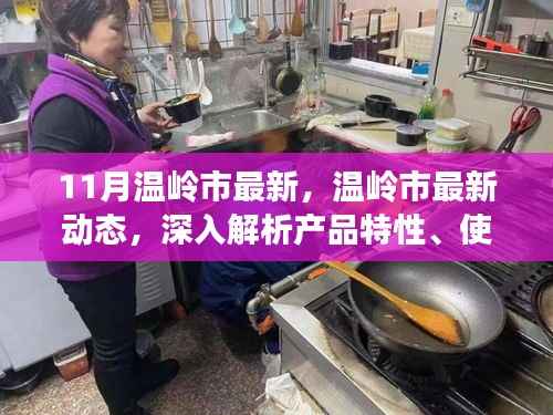 温岭市最新动态深度解析,产品特性、用户体验与目标用户揭秘