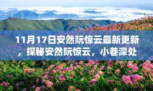 安然阮惊云最新探访笔记，小巷深处的独特风味揭秘