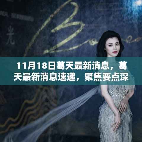 葛天最新消息聚焦,深度解析与速递