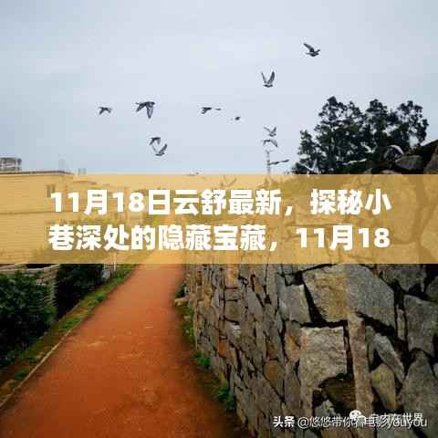 花开无言 第26页