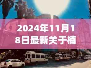 探秘楠玉财富小巷，一场不期而遇的味蕾盛宴（最新新闻更新）