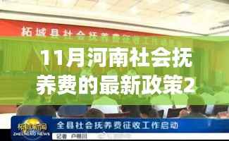 河南社会抚养费政策深度解读,最新篇章与深度解读(2017年11月)