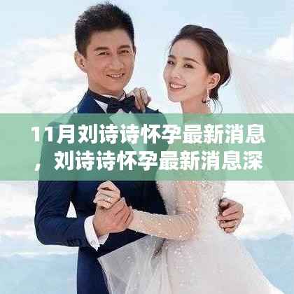 刘诗诗怀孕最新消息,深度解析、全面评测与介绍