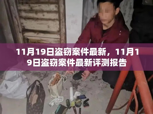 最新评测报告，11月19日盗窃案件详解