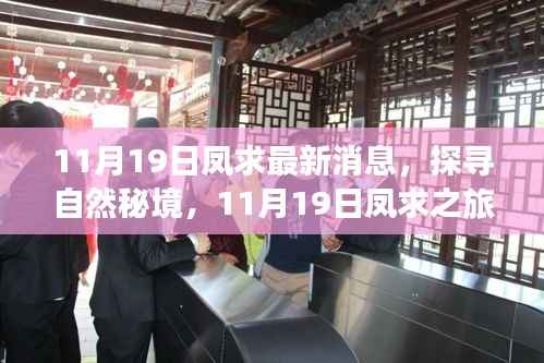 考级报名 第399页