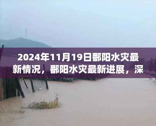 2024年11月19日鄱阳水灾最新进展与深度解读