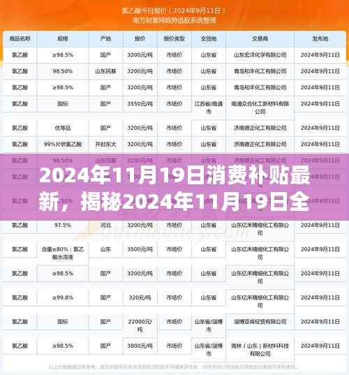 揭秘2024年11月19日全新消费补贴盛宴,省钱攻略与最新补贴信息解读