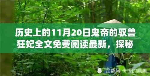 花开无言 第22页