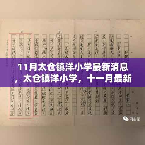 太仓镇洋小学十一月最新消息深度解析