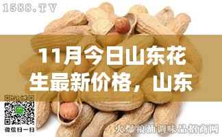 目不转睛 第20页