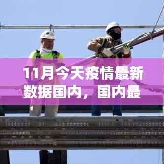11月国内最新疫情数据报告,动态分析与聚焦要点
