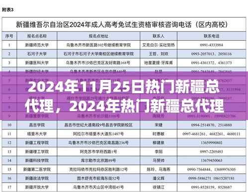 2024年热门新疆总代理业务指南,从初学者到进阶用户的开展步骤
