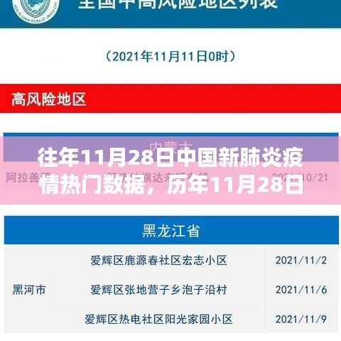 历年11月28日中国新冠疫情回顾与数据解析,热门数据深度剖析