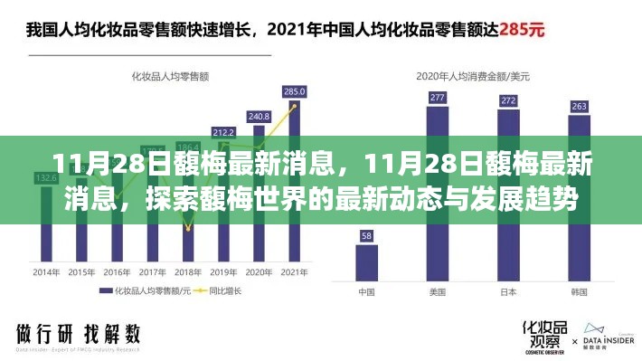 探索馥梅世界,最新动态与趋势报道