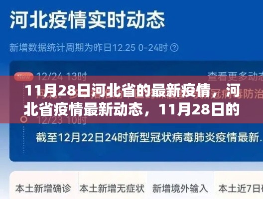 河北省疫情最新动态,11月28日回顾与影响分析