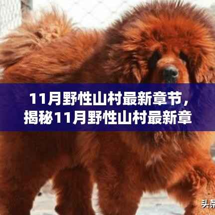 科技巅峰引领山村智能新时代,揭秘最新章节