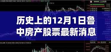 鲁中房产股票传奇，温馨日常与历史的交汇点（最新消息）
