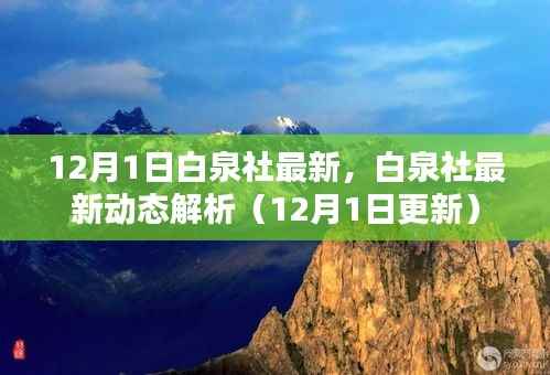 白泉社最新动态解析报告(12月1日更新版)