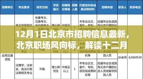北京最新招聘信息动态解读，职场风向标，十二月一日招聘趋势分析
