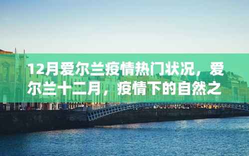 爱尔兰十二月疫情下的自然之旅，寻找心灵宁静与欢笑的旅程