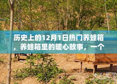 暖心养蜂箱,友谊与陪伴的温馨日常在历史上的今天——养蜂箱里的故事回顾
