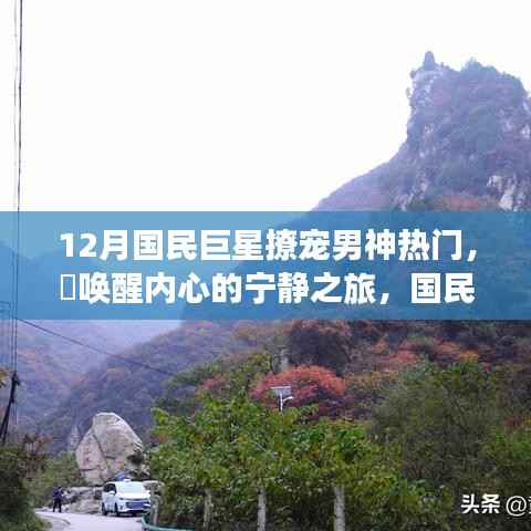 国民巨星带你探寻十二月心灵秘境,男神撩宠之旅唤醒内心宁静