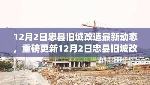 揭秘忠县旧城改造最新动态,改造细节曝光,未来展望引人瞩目