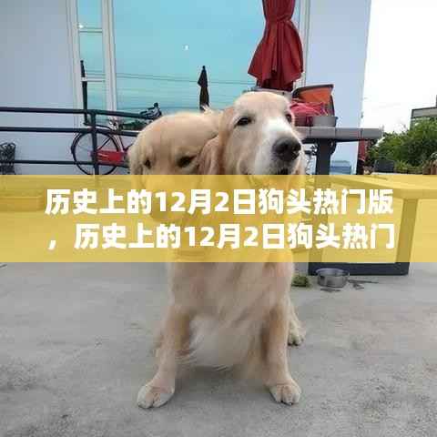 历史上的12月2日深度测评与介绍,狗头热门版揭秘