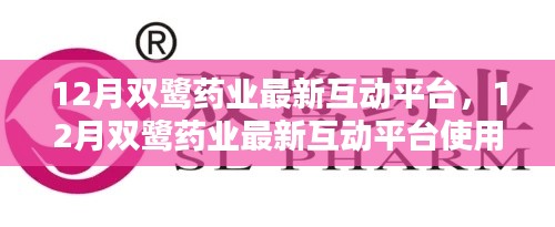 12月双鹭药业互动平台使用指南,从新手到精通